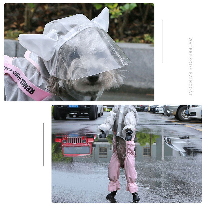 Splashproof Raincoat: Shield your pet in style. Durable, functional, keeps dry, cute design, essential accessory. Shop Now!