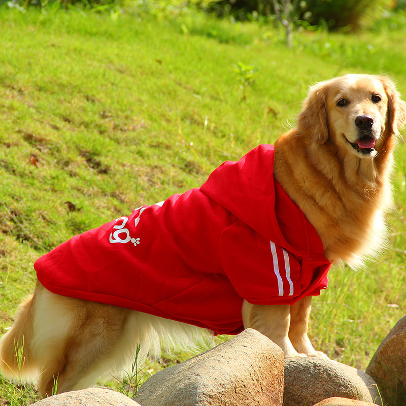 Sporty Cotton-Padded Pet Clothes: Warm, Stylish, High-Quality, Comfortable, Durable, Fashionable Designs, Active Pets.Shop Now!
