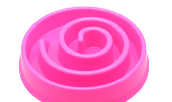 Pet feeding bowls: Prevent choking, promote slow eating. Available in various colors for dogs and cats. Shop Now!