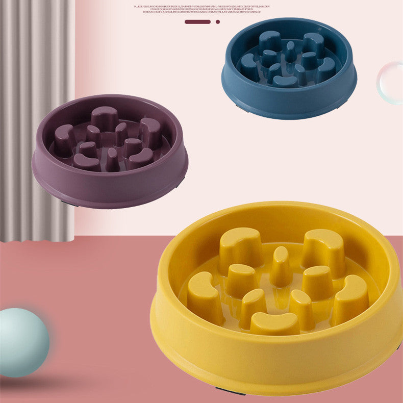 Choking prevention bowl for dogs & cats. Slow feeding solution in various colors. SEO: Pet bowl, slow feed, prevent choking, colorful, low bandwidth.