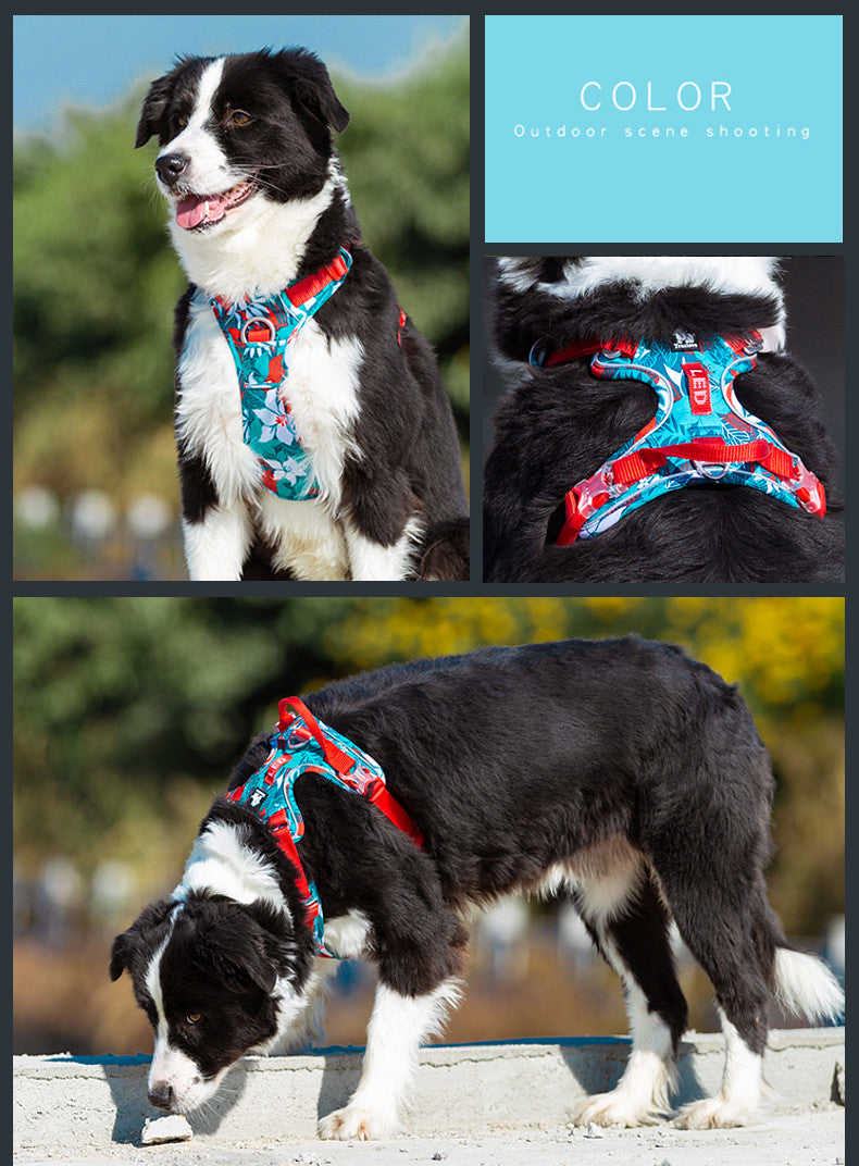 Dog leash and Chain Vest
