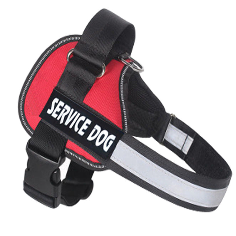 Labrador Dog Harness Leash Combo