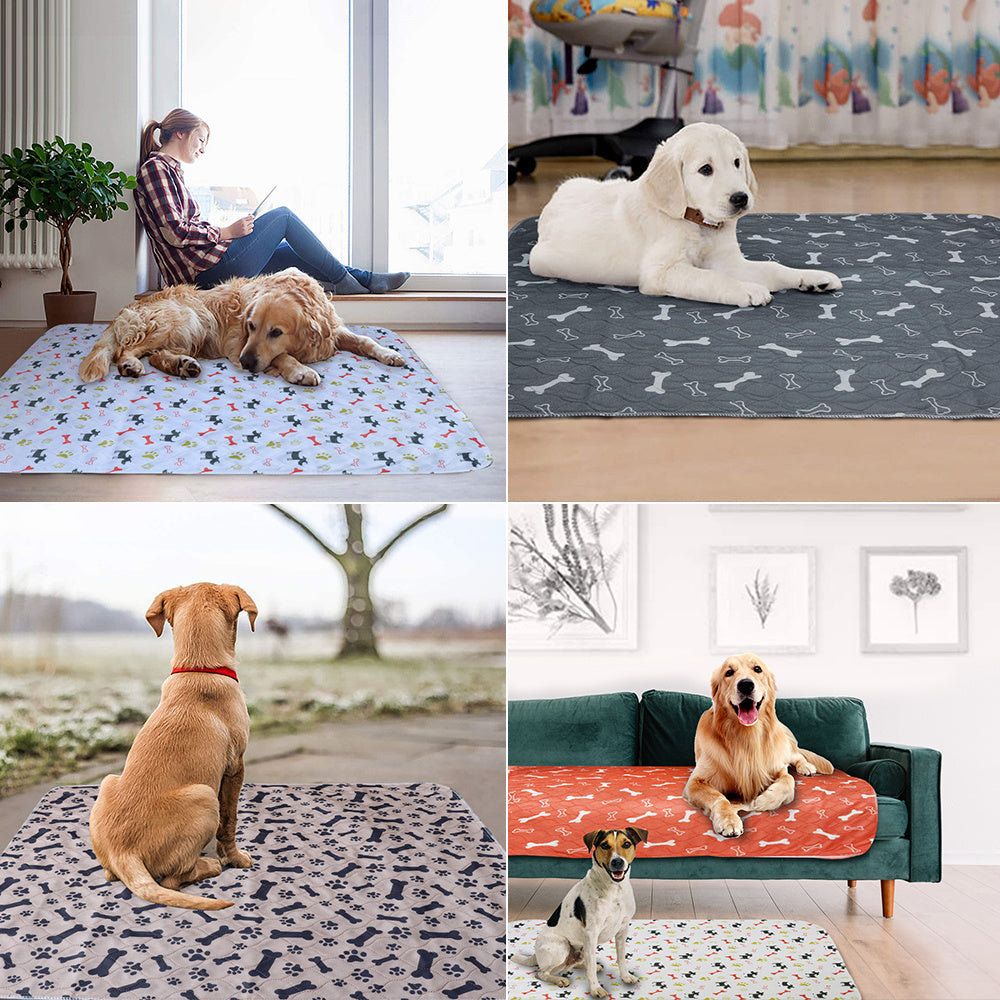 Reusable Dog Diaper Pad: Eco-Friendly Pet Care Solution