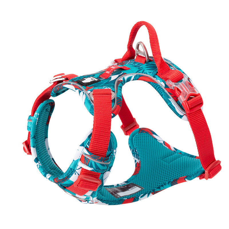 Dog leash and Chain Vest