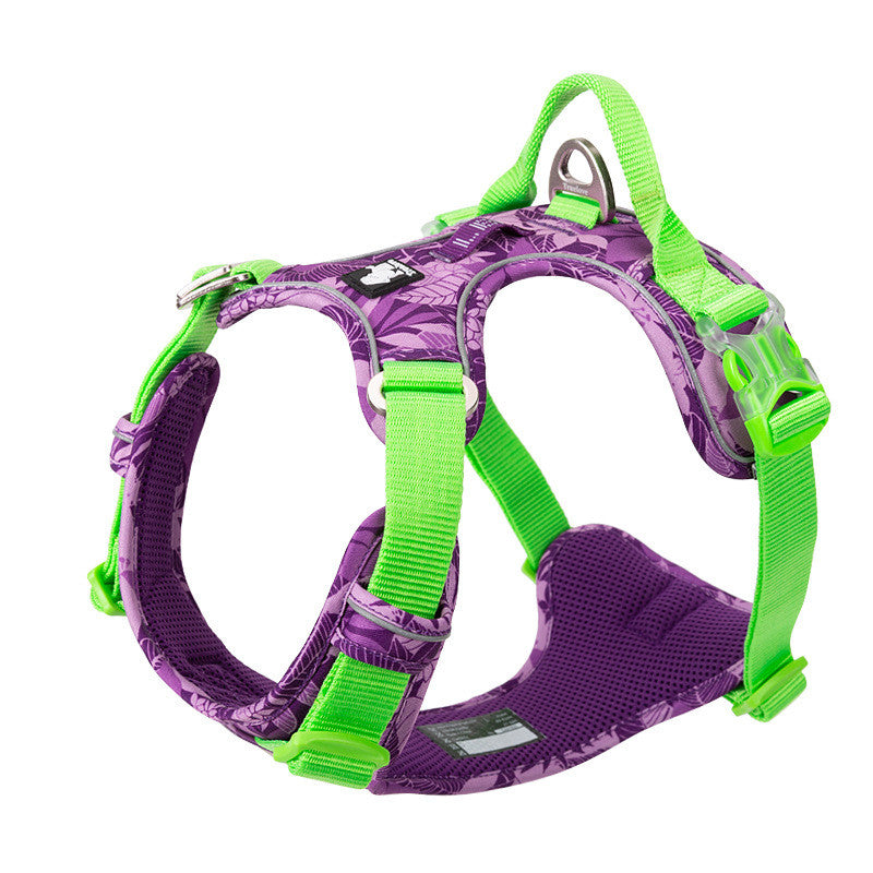 Dog leash and Chain Vest