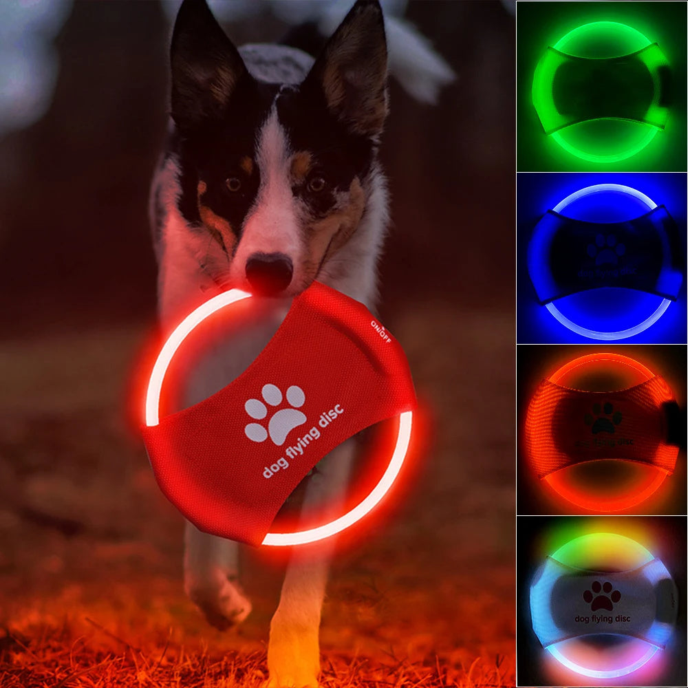 Illuminated Flying Disc.