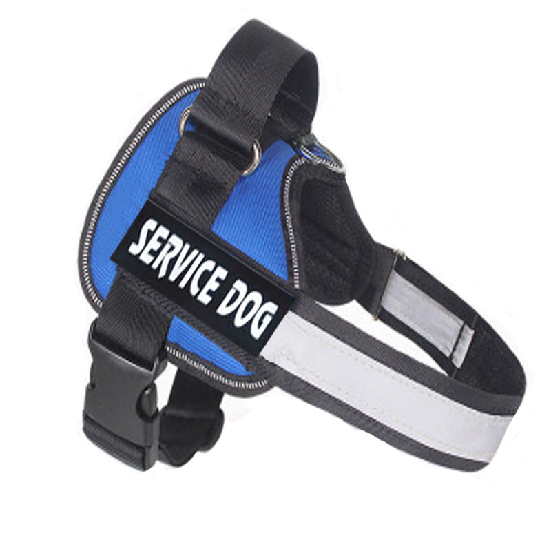 Labrador Dog Harness Leash Combo