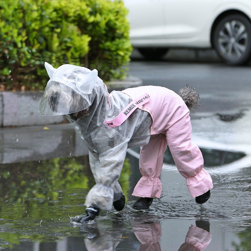 Splashproof Raincoat: Shield your pet in style. Durable, functional, keeps dry, cute design, essential accessory. Shop Now!