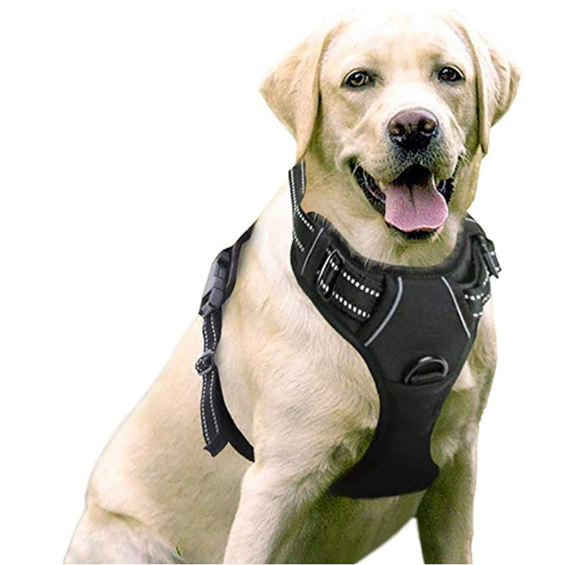 Large Dog Vest Leash: Nylon Chest Straps. Sizes S-XL in Multiple Colors. Adjustable for Various Dog Sizes. Shop Now!