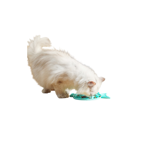 Safe Slow Feeding Pet Bowl - TPR Material, Fashionable Colors, Prevent Choking, Stylish Design