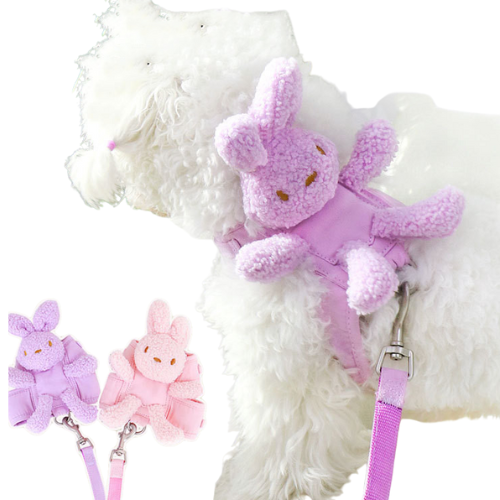 Elevate Pet Walks with Polyester Traction Belt. Purple, Pink, Off White. S, M, L Sizes Shop Now!