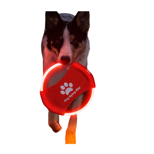 Illuminated Flying Disc.
