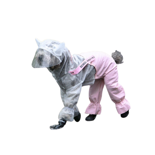 Splashproof Raincoat: Shield your pet in style. Durable, functional, keeps dry, cute design, essential accessory. Shop Now!