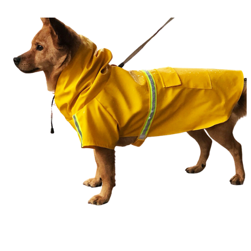 Trendy Raincoat for Pups"