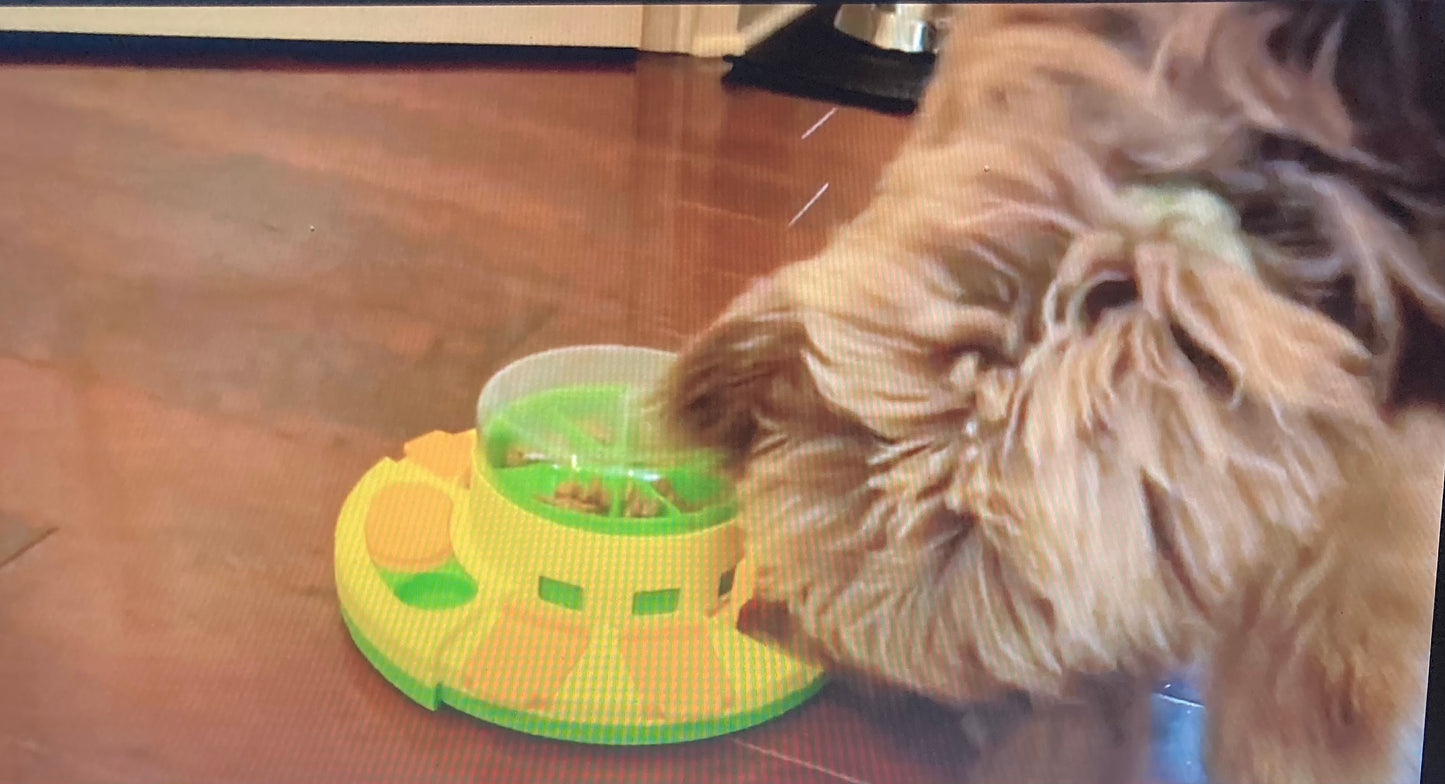 Elevate your dog's mealtime with a colorful, fun slow feeding bowl. Boost digestion and IQ. Perfect for visually impaired or low-bandwidth users.