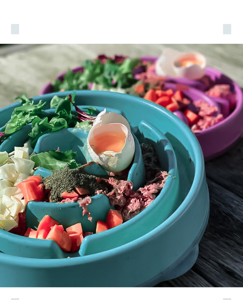Explore pet-friendly anti-choking bowls for slow feeding. Perfect for visually impaired users & low-bandwidth connections. Enhance meal safety.