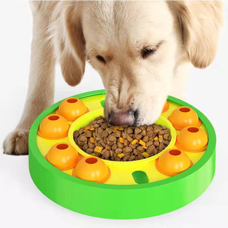 Elevate your dog's mealtime with a colorful, fun slow feeding bowl. Boost digestion and IQ. Perfect for visually impaired or low-bandwidth users. 