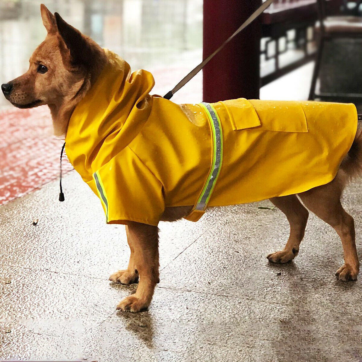 Synthetic Leather DRaincoat: Various Sizes, Fashionable. Shop Now!