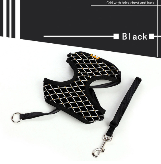 Versatile Pet Leash: Dog & Cat Combo. SEO: Pet leash, dog, cat, versatile, combo.Shop Now!