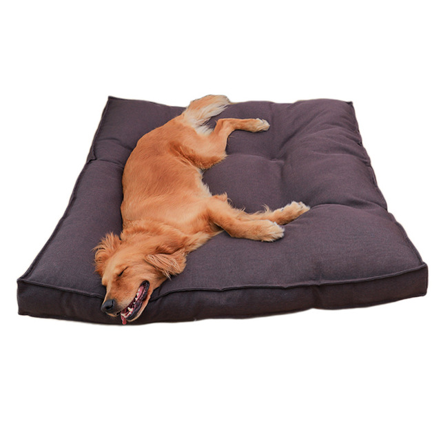 Cozy Dog bed, comfortable option for dogs 