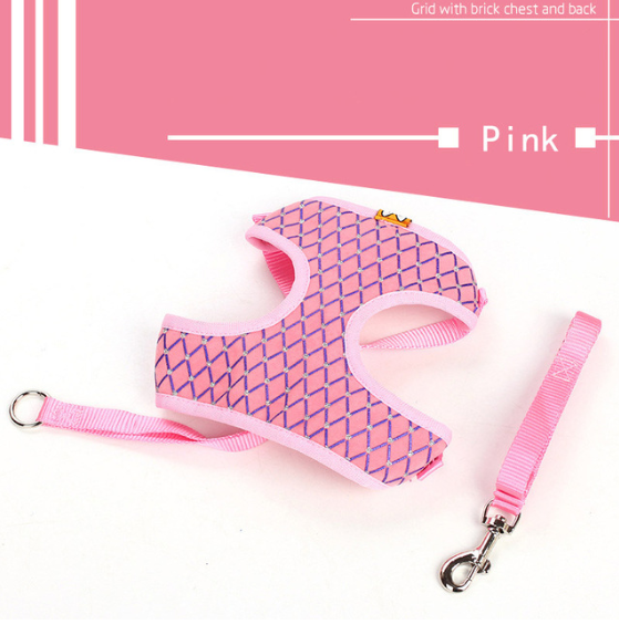 Versatile Pet Leash: Dog & Cat Combo. SEO: Pet leash, dog, cat, versatile, combo.Shop Now!