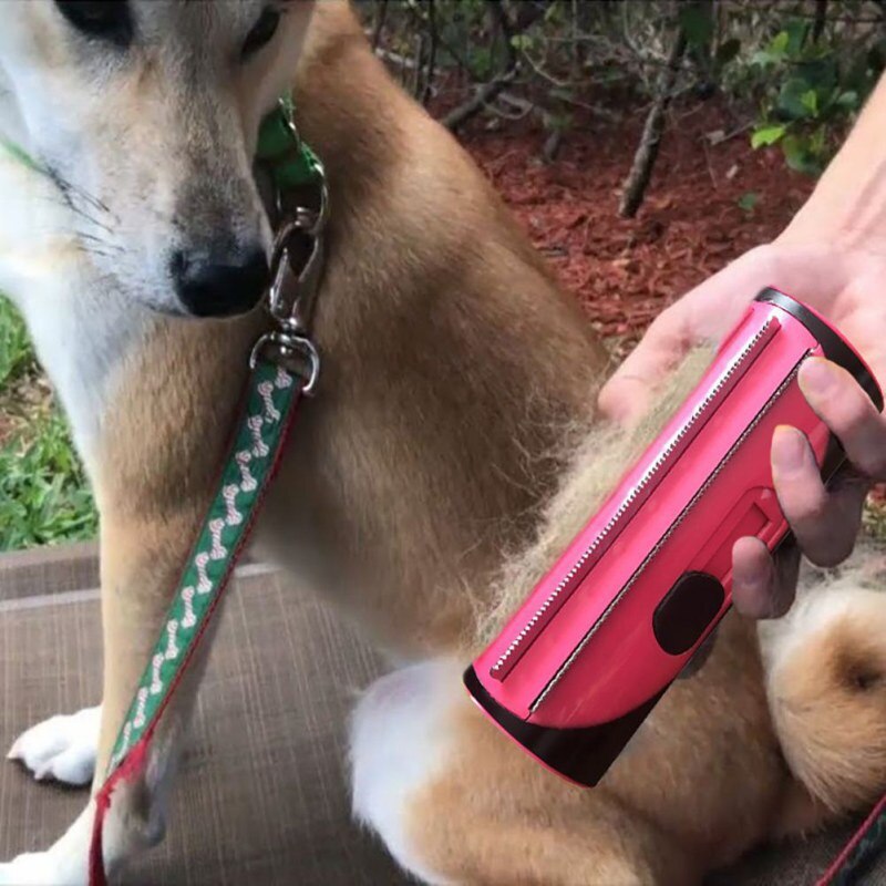 Essential pet grooming tool: Dog and Cat Comb and Lint Roller Brush ensure efficient hair removal and grooming.