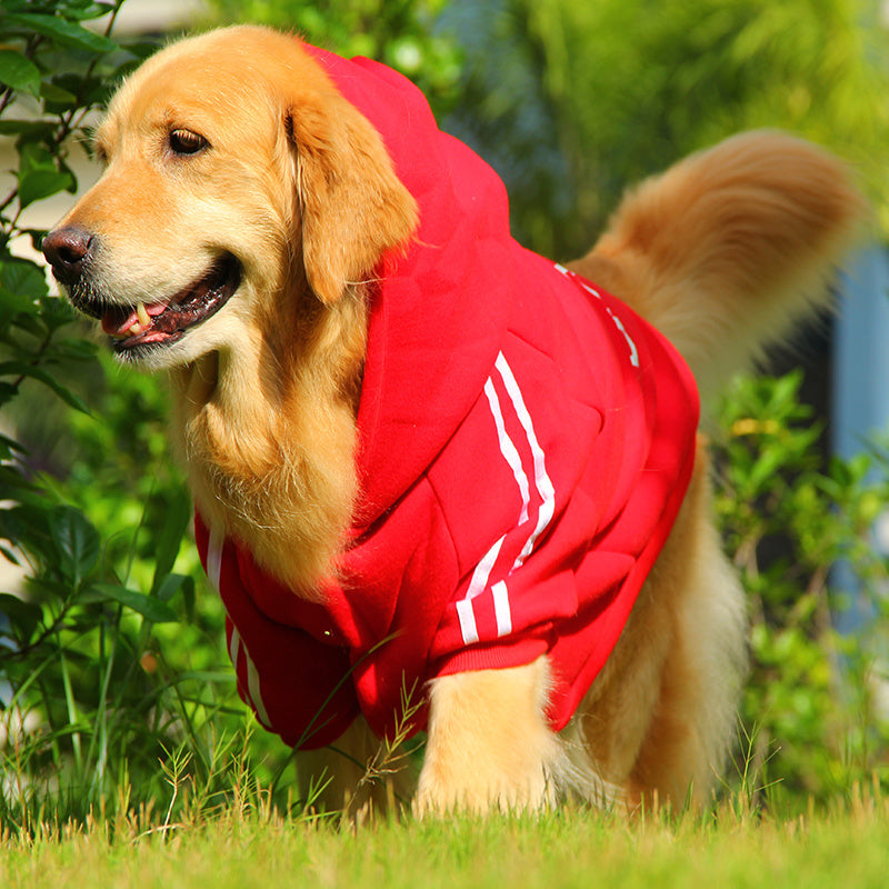 Sporty Cotton-Padded Pet Clothes: Warm, Stylish, High-Quality, Comfortable, Durable, Fashionable Designs, Active Pets.Shop Now!