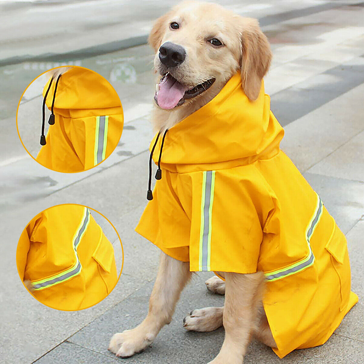 Synthetic Leather DRaincoat: Various Sizes, Fashionable. Shop Now!
