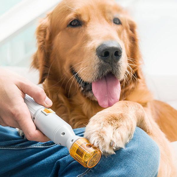Revolutionary pet nail trimmer: pain-free grooming for dogs & cats. Easy, mess-free, innovative design. Stress-free experience. Plastic construction, durable. Cat and dog nail care solution