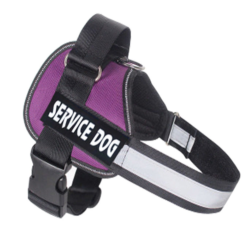Labrador Dog Harness Leash Combo