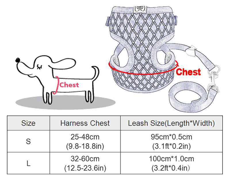 Versatile Pet Leash: Dog Leash & Cat Leash Combo
