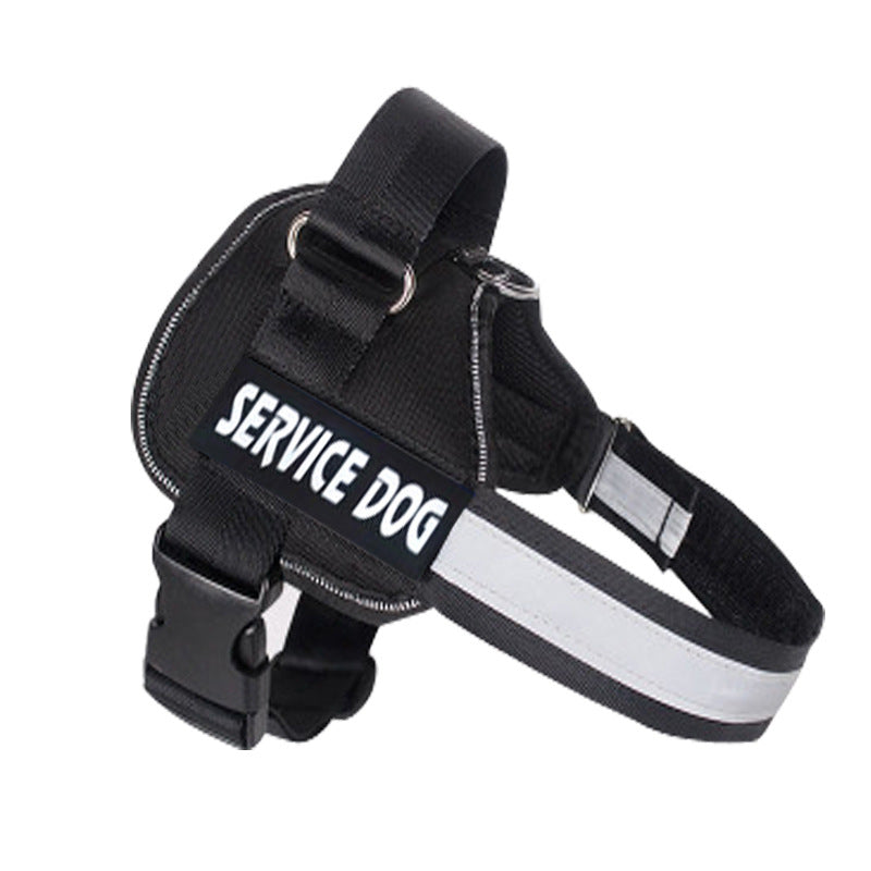 Labrador Dog Harness Leash Combo