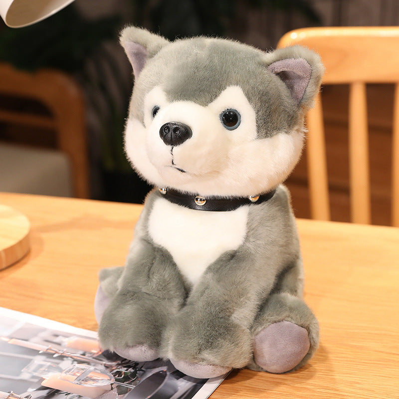 Plush Dog Toys: Styles & Colors for Pets. Shop now!