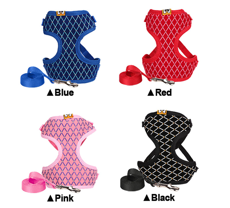 Versatile Pet Leash: Dog & Cat Combo. SEO: Pet leash, dog, cat, versatile, combo. Shop Now!