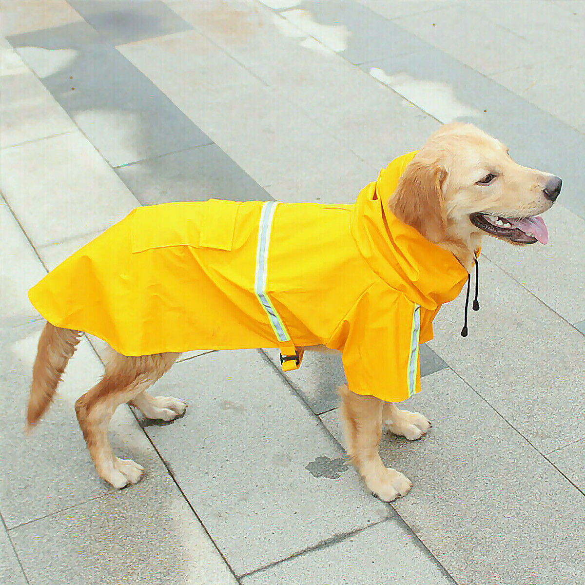 Synthetic Leather DRaincoat: Various Sizes, Fashionable Shop Now!