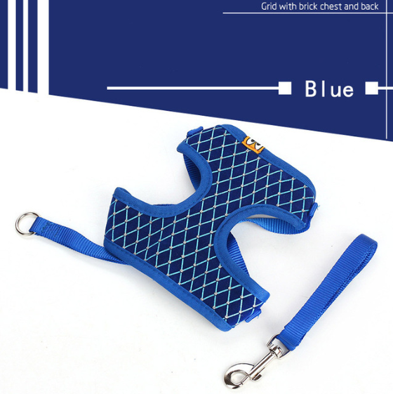 Versatile Pet Leash: Dog & Cat Combo. SEO: Pet leash, dog, cat, versatile, combo.Shop Now!