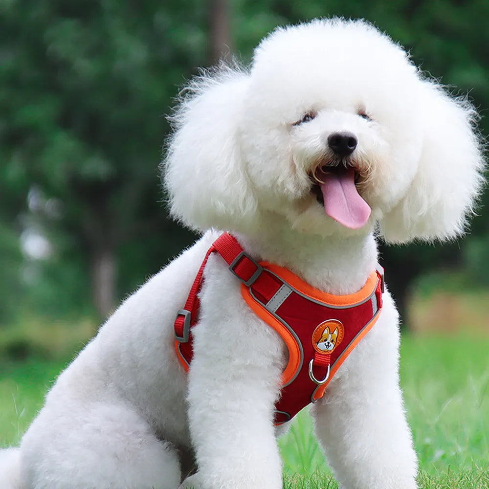 Introducing No Pull Dog Harness Vest for Small Dogs & Puppies. Lightweight, Escape-Proof Design. Reflective Strips for Safety.Shop Now!