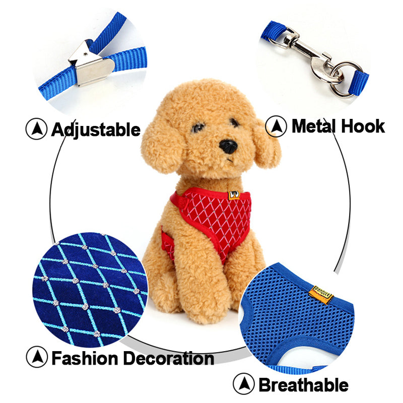 Versatile Pet Leash: Dog & Cat Combo. SEO: Pet leash, dog, cat, versatile, combo.Shop Now!