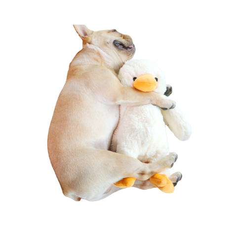 Soft Plush Pet Duck Toy: White with Yellow Beak & Feet. Shop Now!