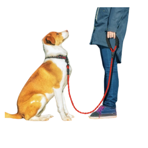 Effortless dog walking with Foam Handled Reflective Nylon Leash. Secure, durable, anti-slip handle. Invest in comfort. Shop Now!