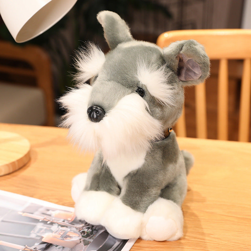 Plush Dog Toys: Styles & Colors for Pets. Shop Now!