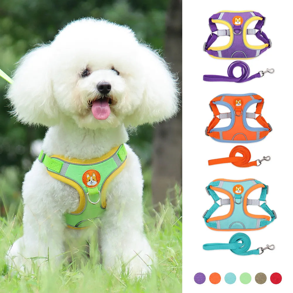 Introducing No Pull Dog Harness Vest for Small Dogs & Puppies. Lightweight, Escape-Proof Design. Reflective Strips for Safety. 