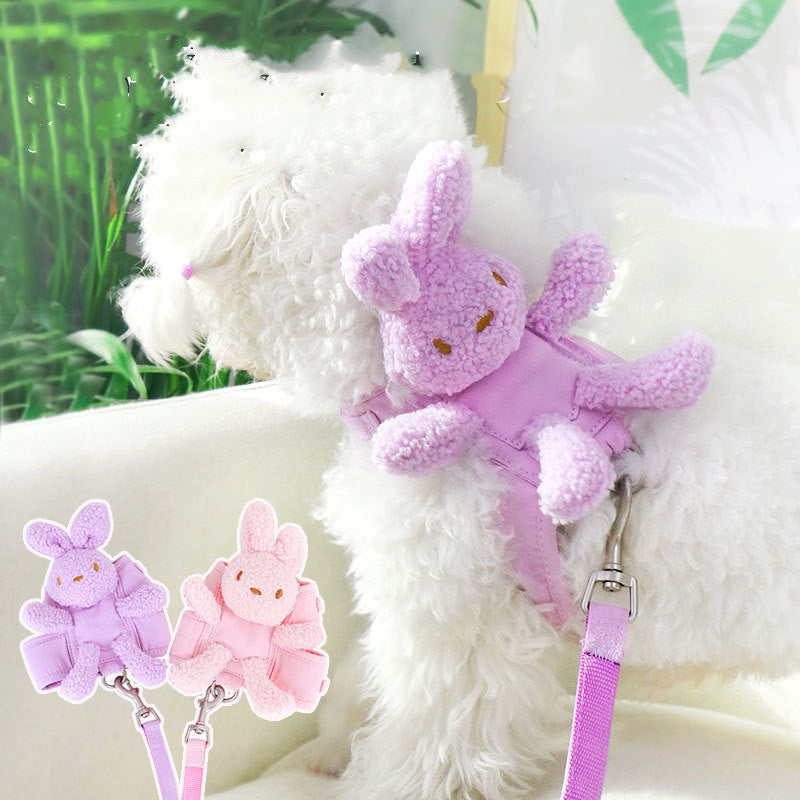 Elevate Pet Walks with Polyester Traction Belt. Purple, Pink, Off White. S, M, L Sizes. Shop Now!