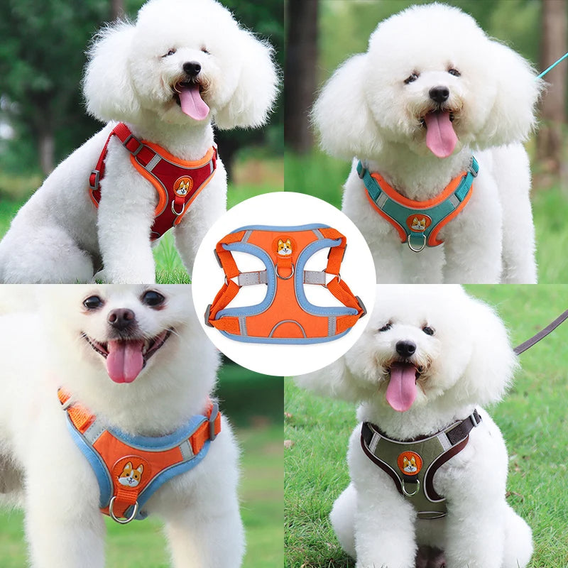 Introducing No Pull Dog Harness Vest for Small Dogs & Puppies. Lightweight, Escape-Proof Design. Reflective Strips for Safety.