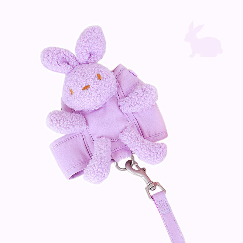Elevate Pet Walks with Polyester Traction Belt. Purple, Pink, Off White. S, M, L Sizes.Sop Now!