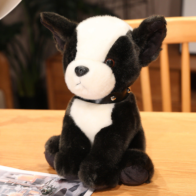 Plush Dog Toys: Styles & Colors for Pets. Shop Now!