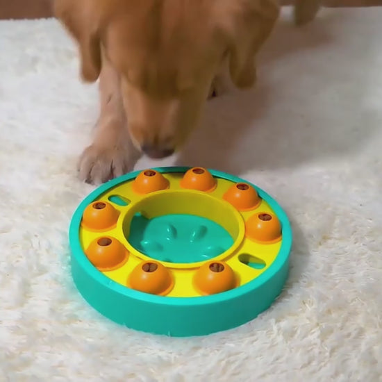 Elevate your dog's mealtime with a colorful, fun slow feeding bowl. Boost digestion and IQ. Perfect for visually impaired or low-bandwidth users.